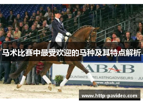 马术比赛中最受欢迎的马种及其特点解析