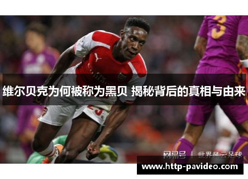 维尔贝克为何被称为黑贝 揭秘背后的真相与由来